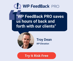 WP FeedBack