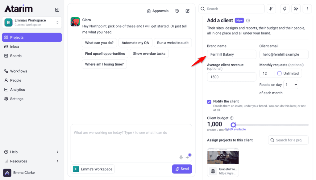 Add a client panel with the brand name, client email, revenue, monthly requests and client budget filled in