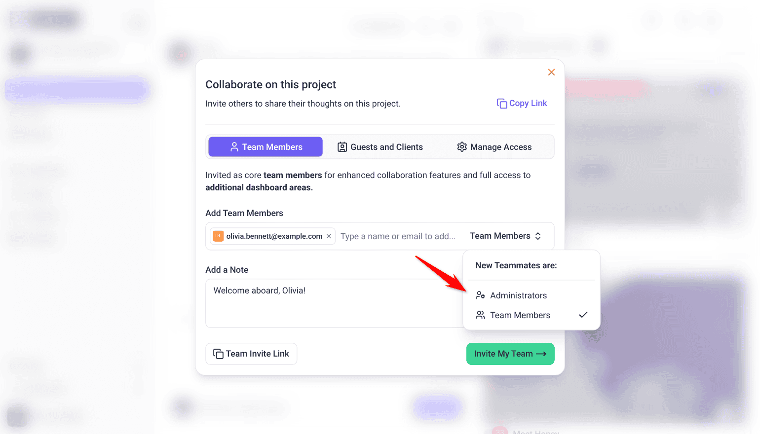 Collaborate on this project window on the Team Members tab, with an email added and the New Teammates are: menu open