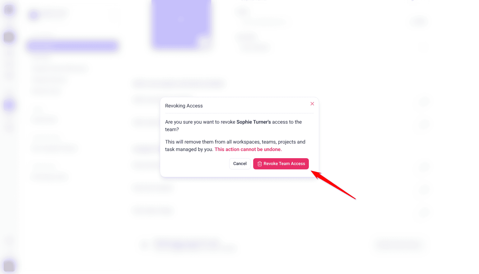 Revoking Access confirmation for Sophie Turner with Cancel, arrow pointing at the Revoke Team Access button