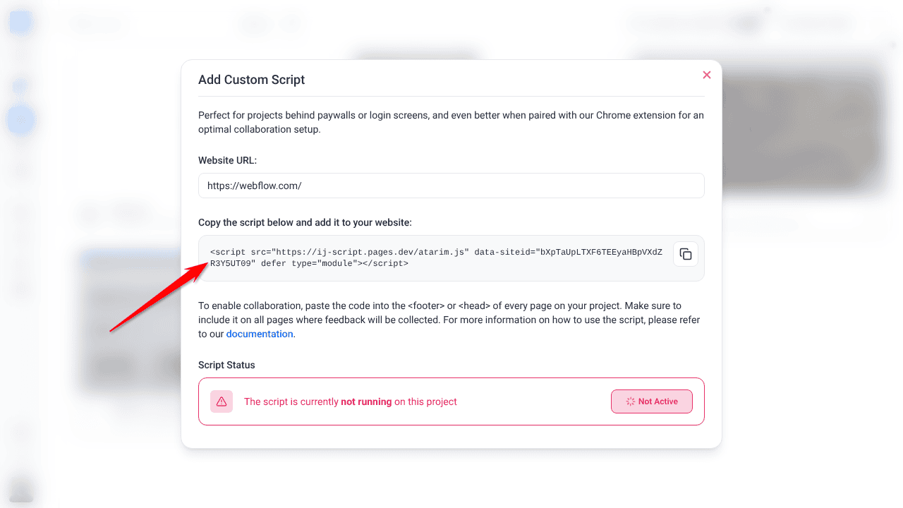 Add Custom Script window with the website URL and the generated script to copy